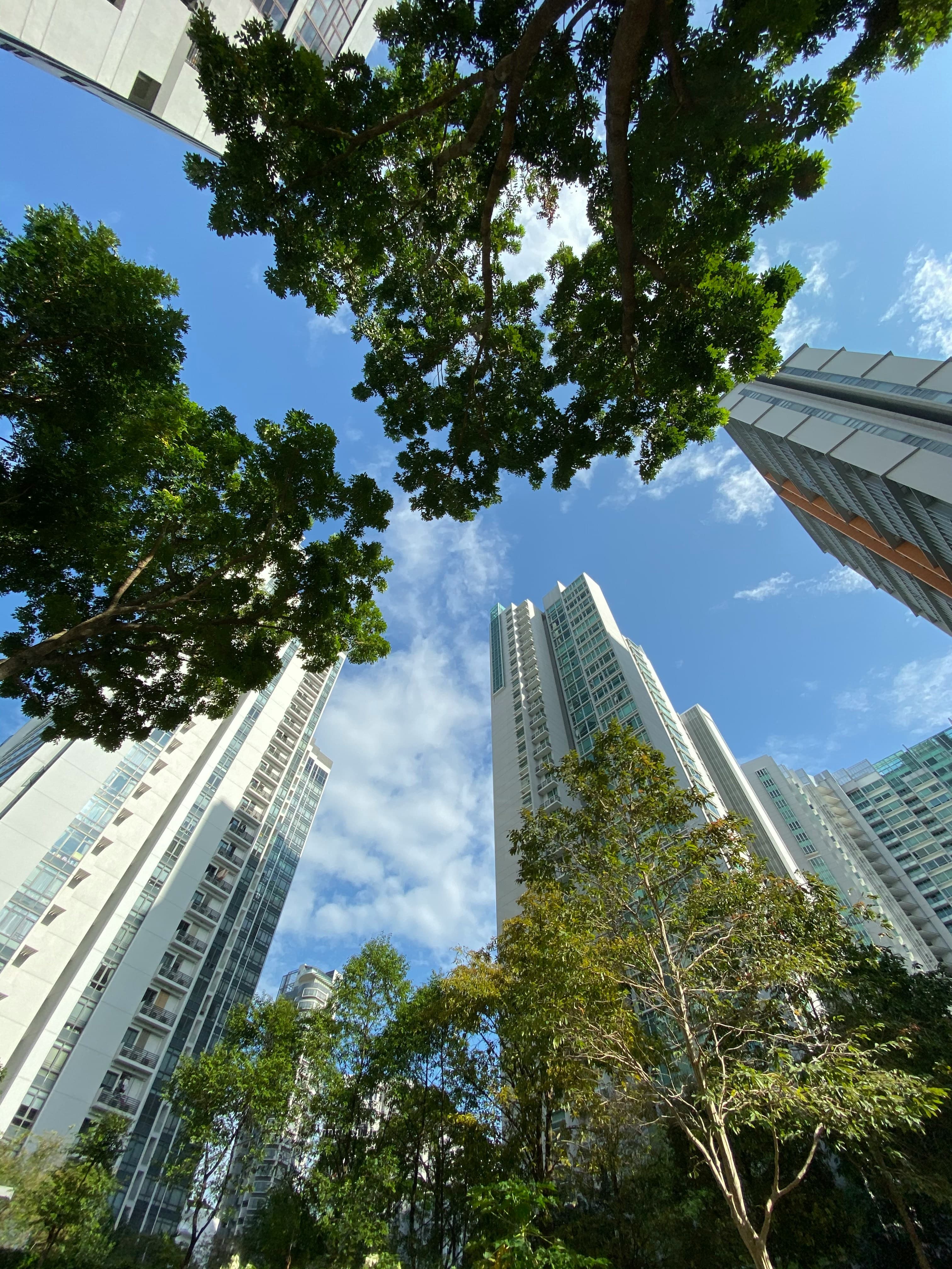 Nexity