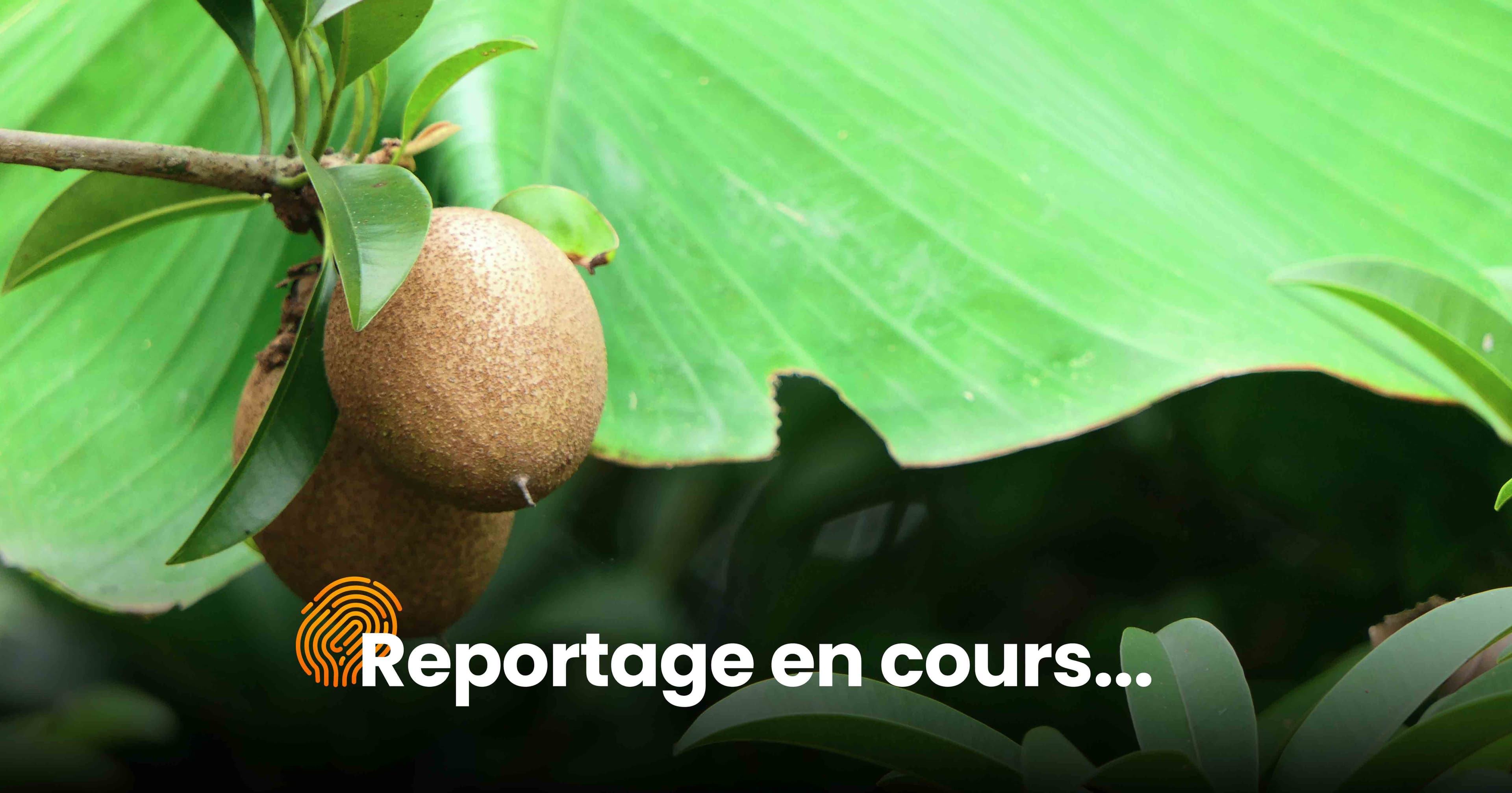 EARL au Majoureau