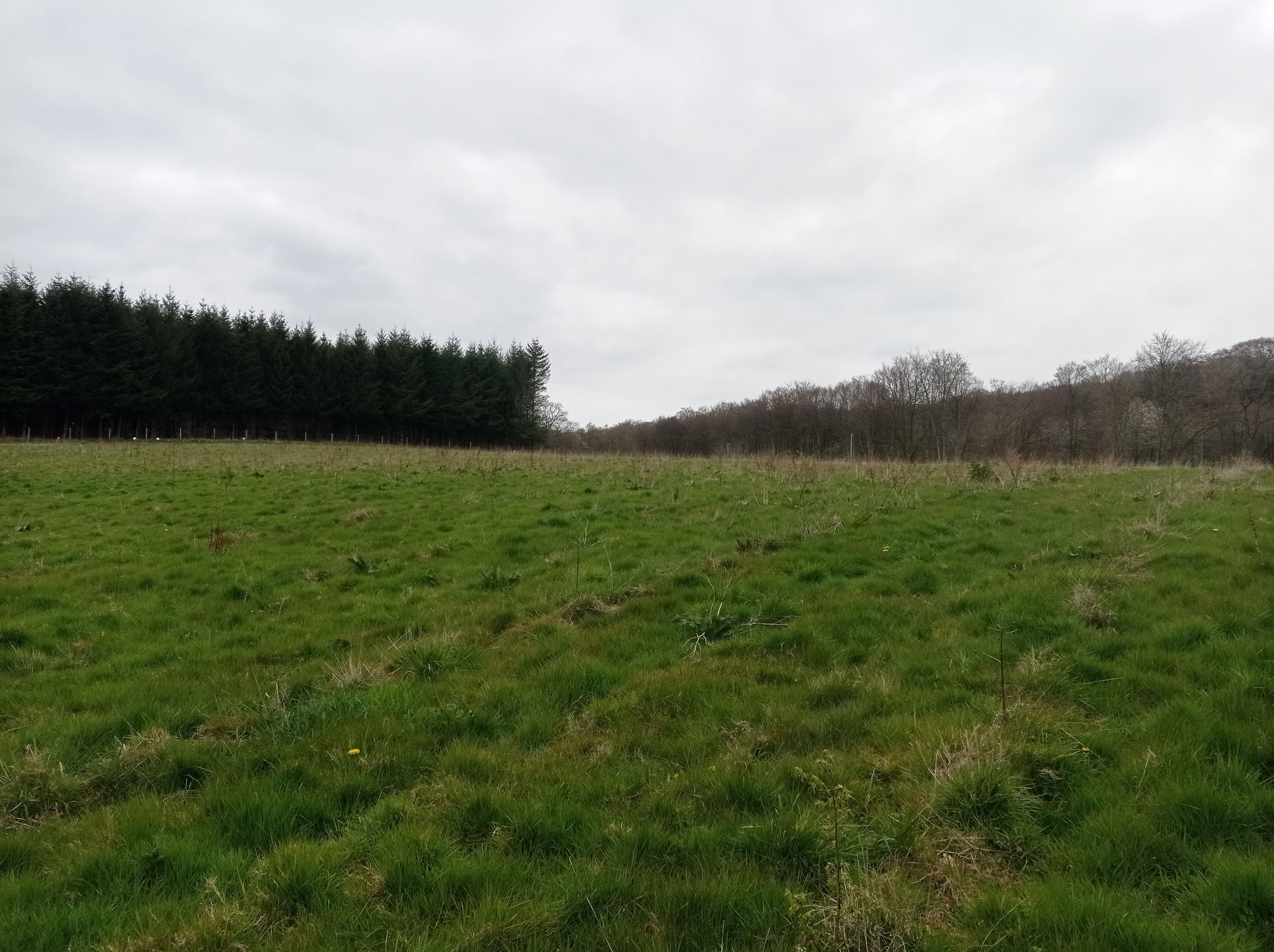 Creation of an ecological corridor at Imbleville