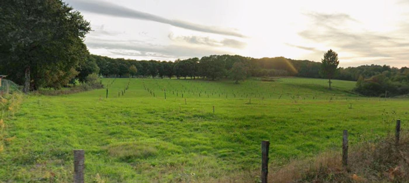 Extension d'un verger de Châtaigniers bio en Corrèze