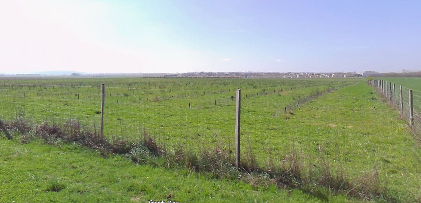 Plantation de Noisetiers à Silly-le-Long