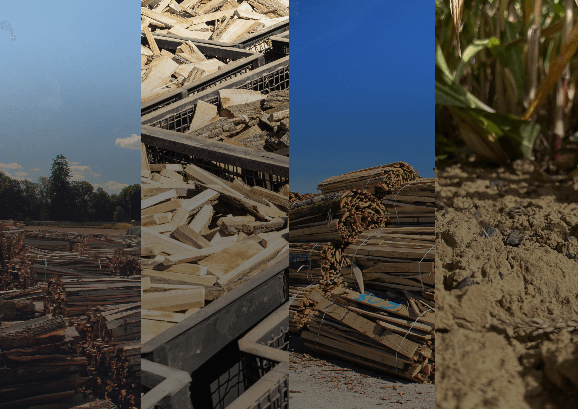 Projet Bordet : Un biochar de haute qualité produit en Bourgogne