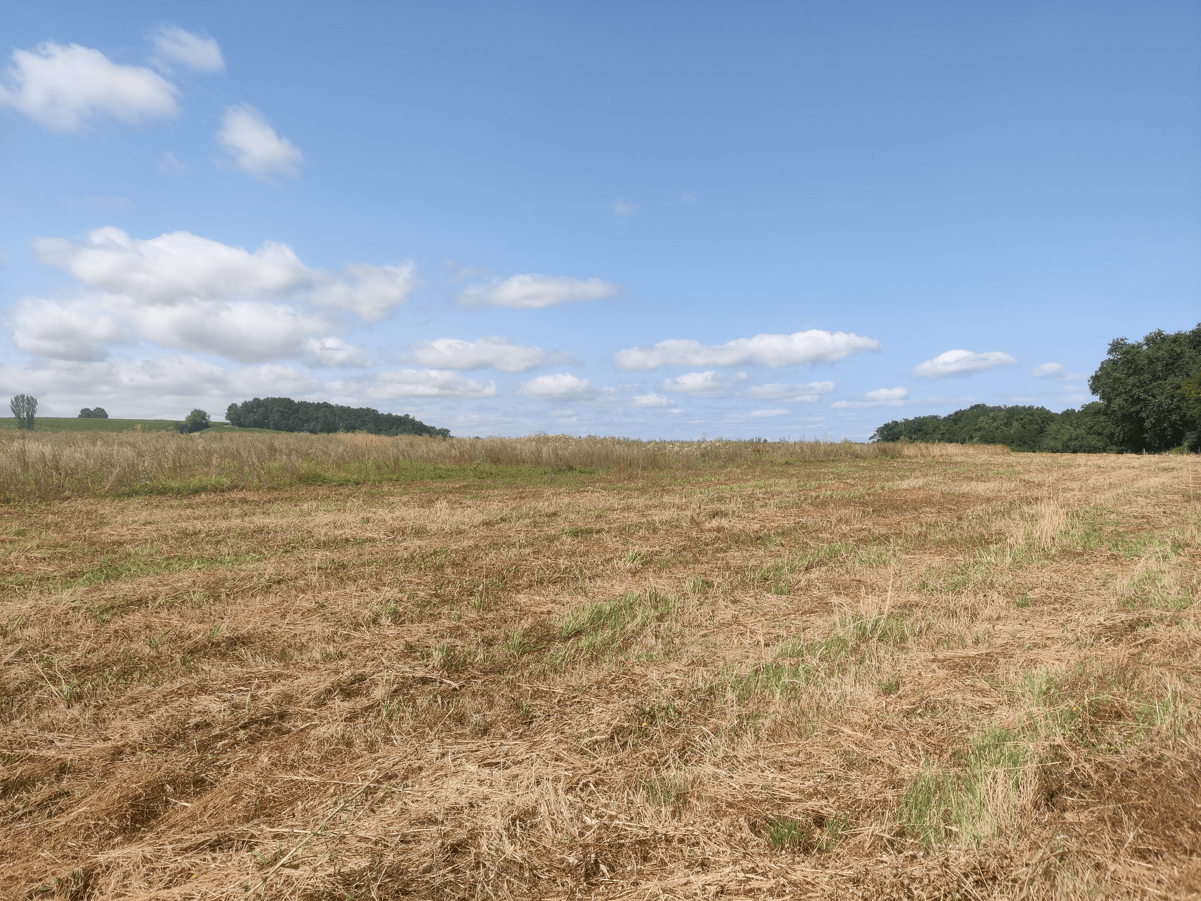Nouveau boisement de 14,4 hectares à Mourens