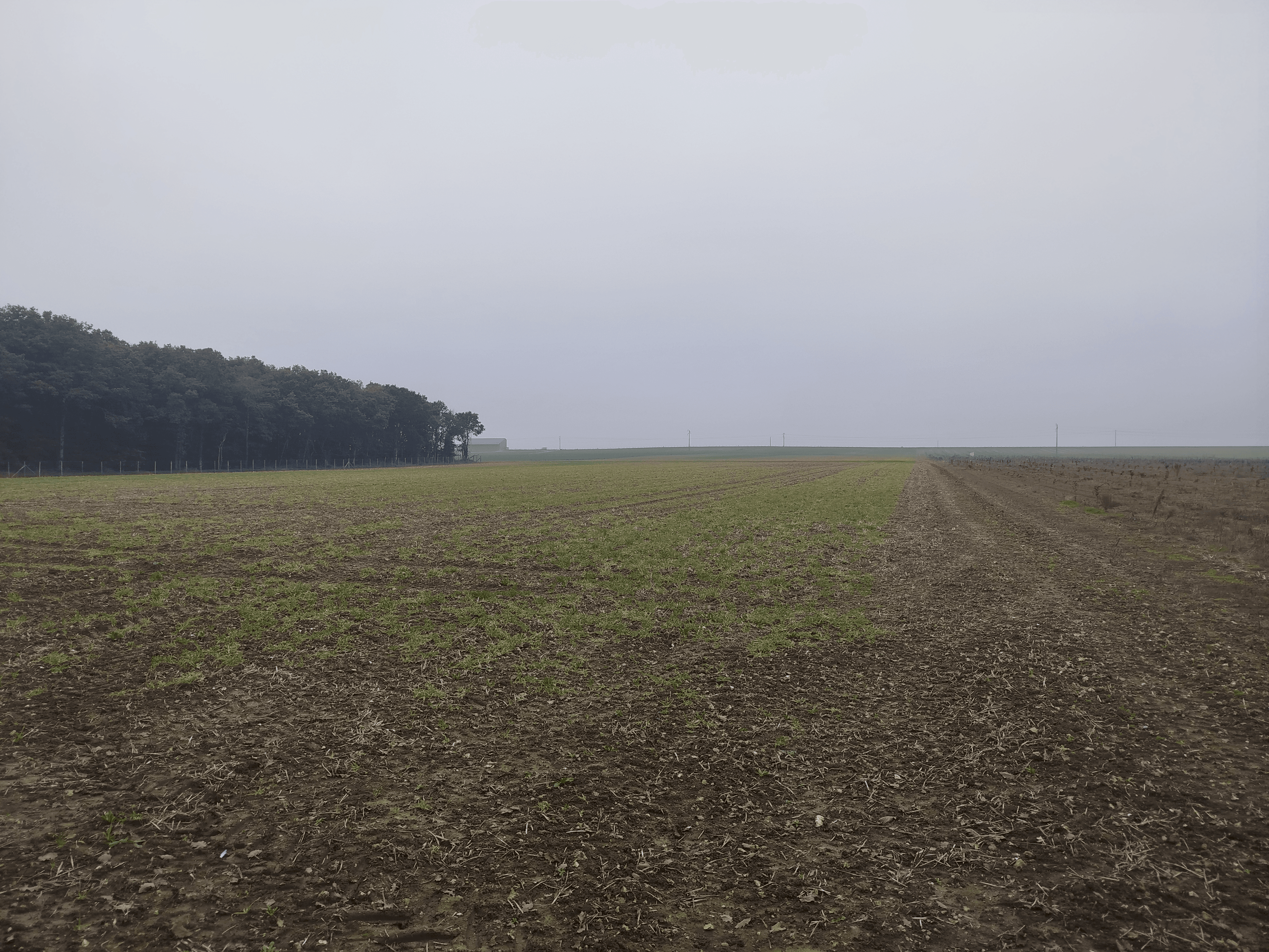 Extension d'un verger à Coulombs dans l'Eure-et-Loir