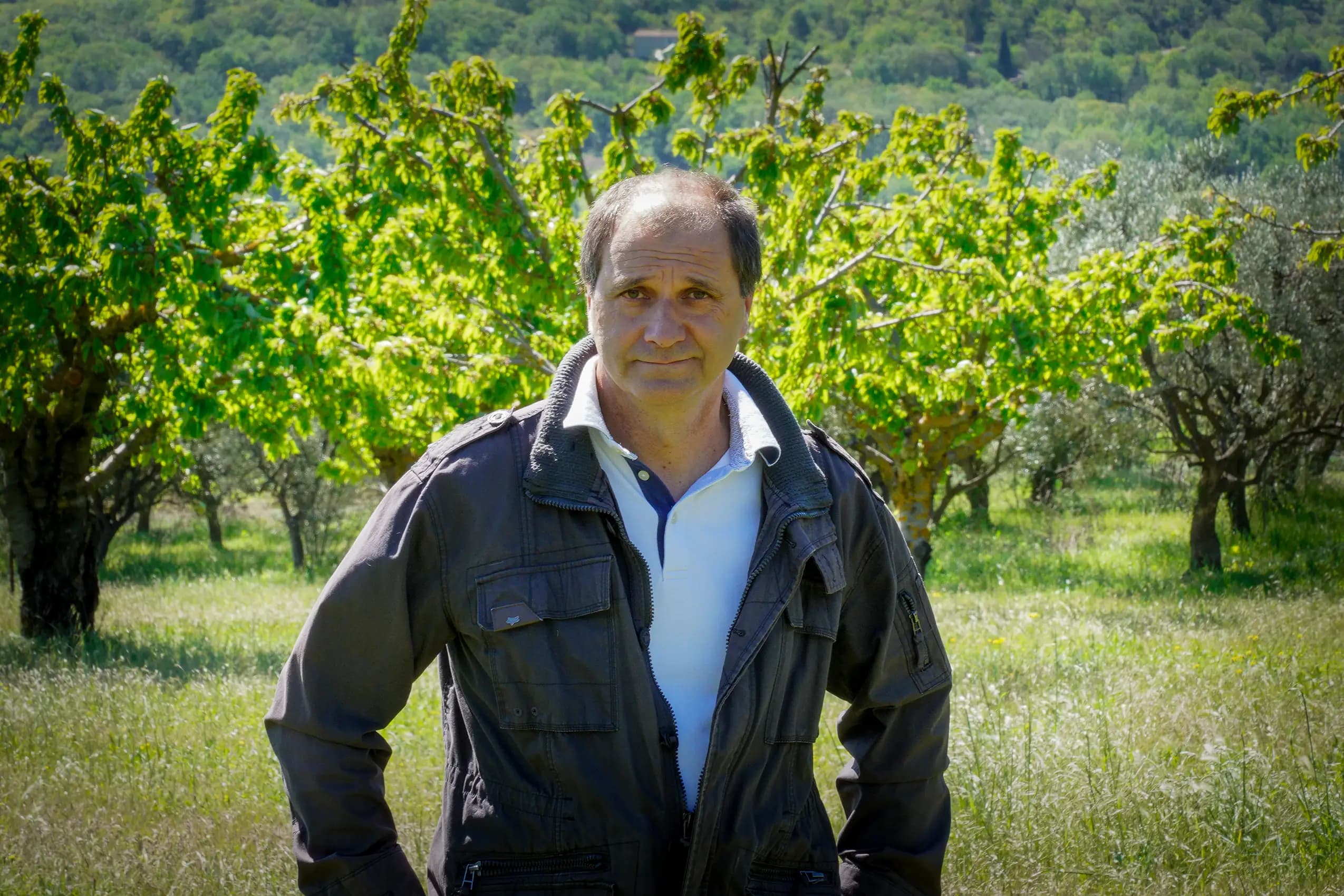 Nouvelle plantation de cerisiers à l'EARL les Tilleuls