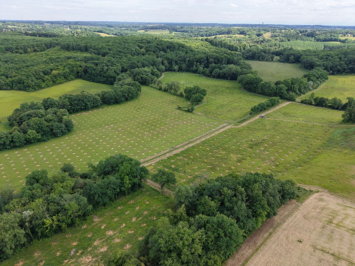 Création de 6,4 hectares de forêt à Parleboscq