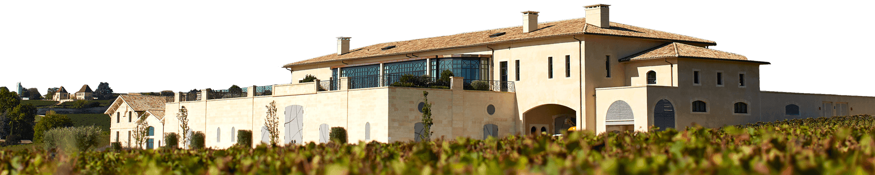Using vines as biomass fuel in Saint-Emilion