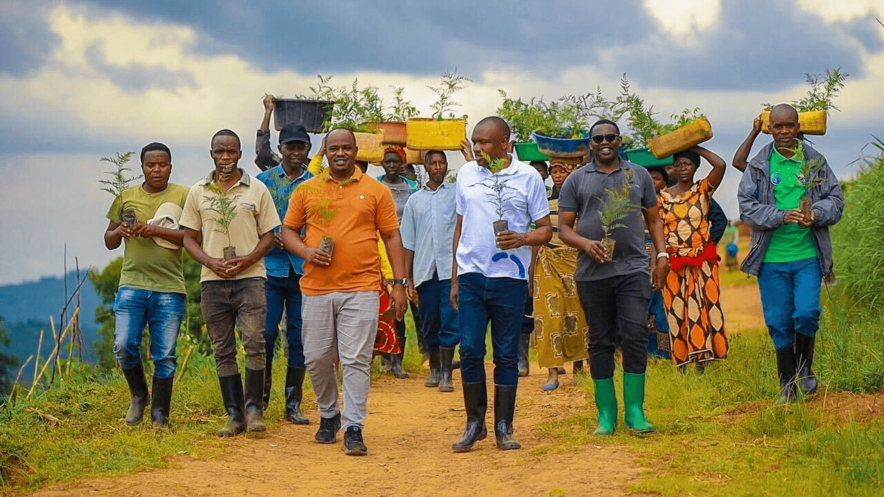 Agroforesterie au Rwanda