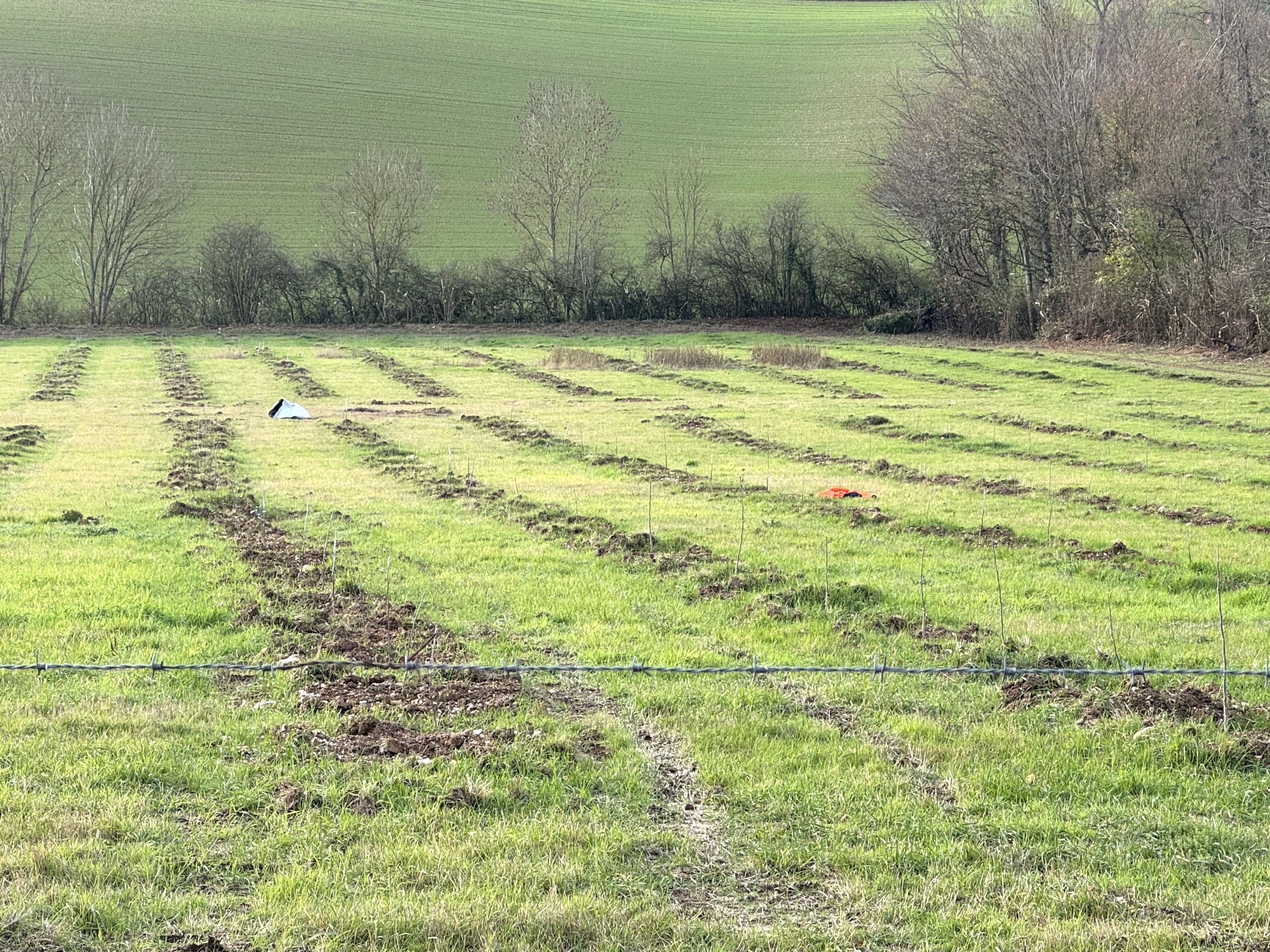 Extension de forêts à Auxi-le-Château