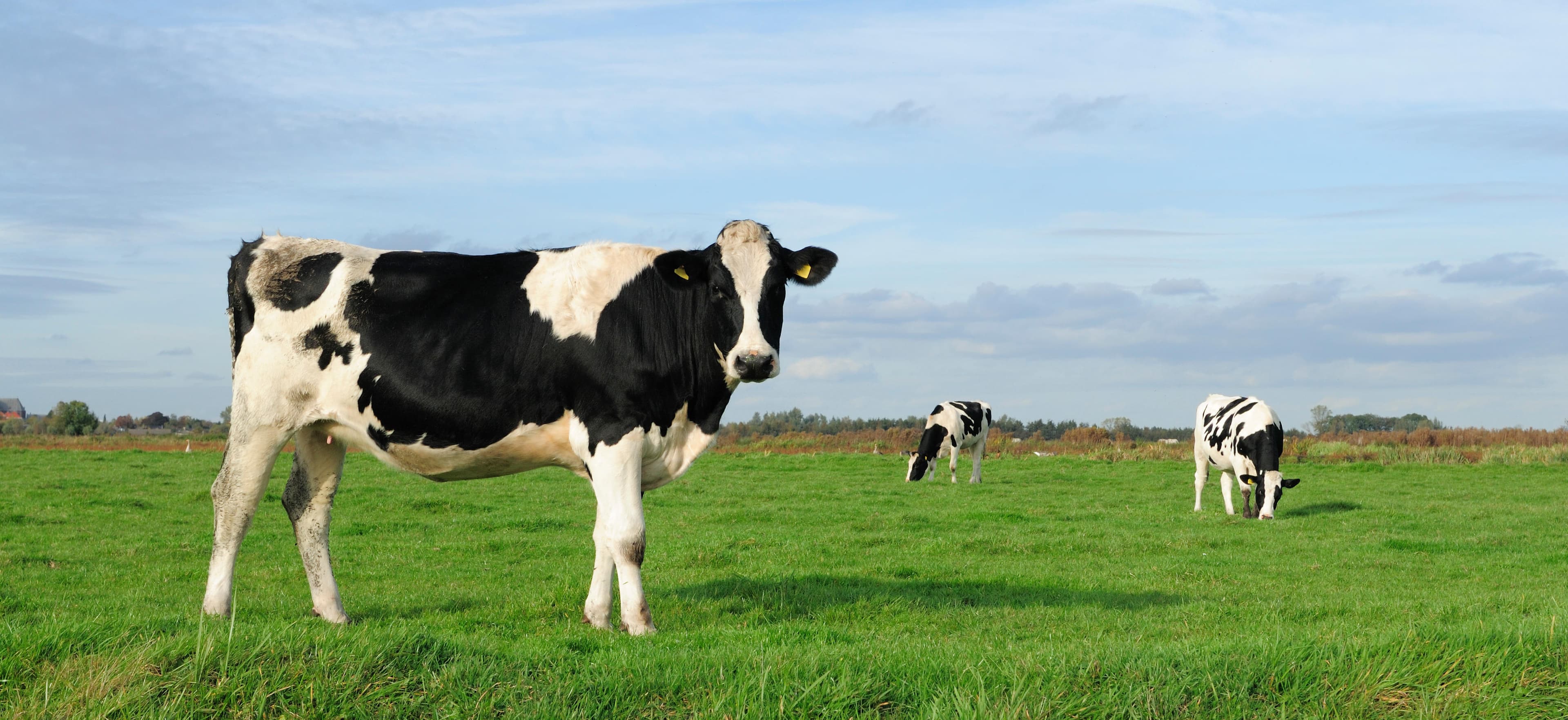 Projet CarbonAgri en Bretagne à Guengat