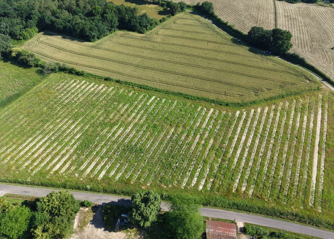 Création de 7,65 hectares de forêts à Sainte-Colombe