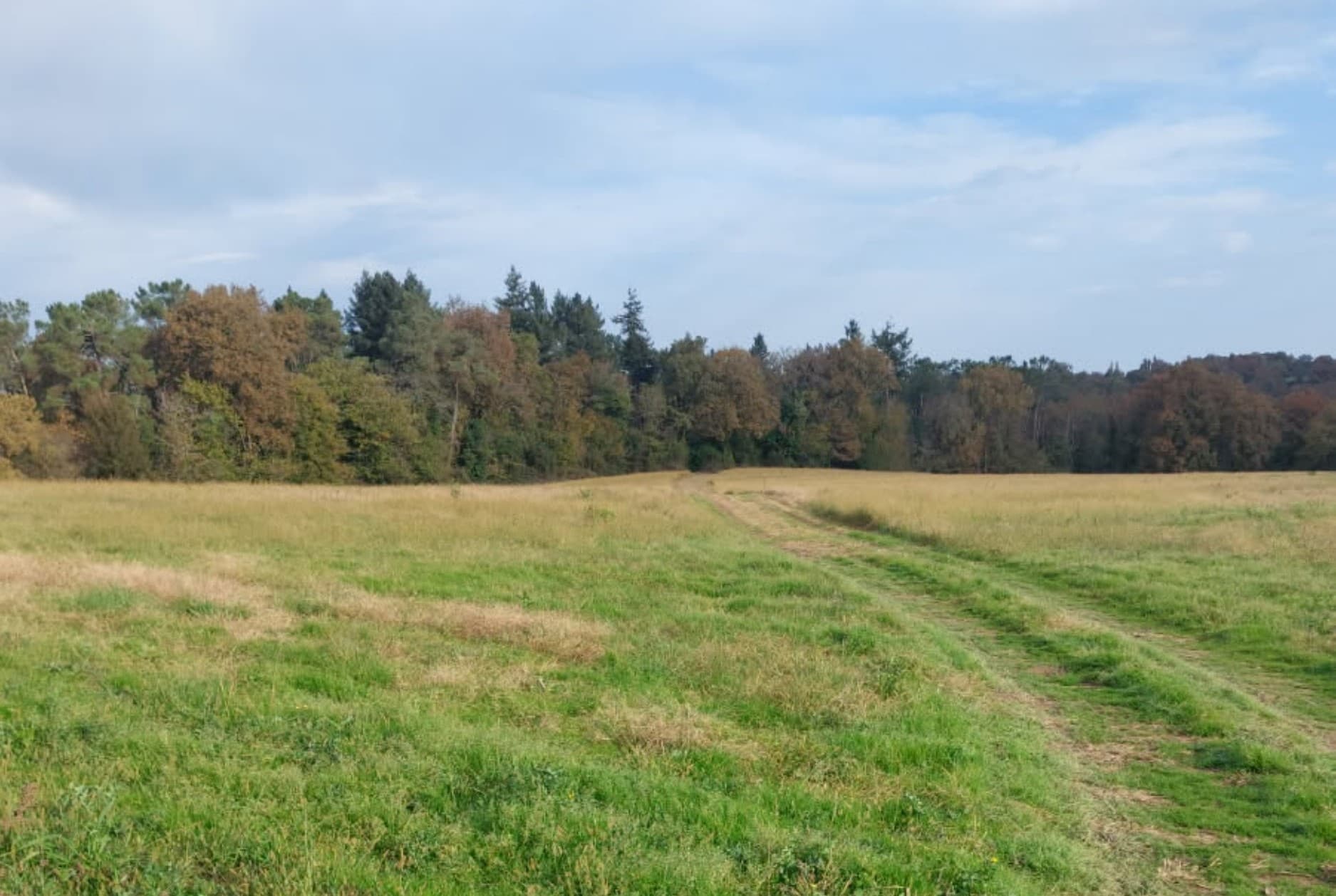 Extension de 7,28 hectares d'une forêt à Eugénie-les-Bains