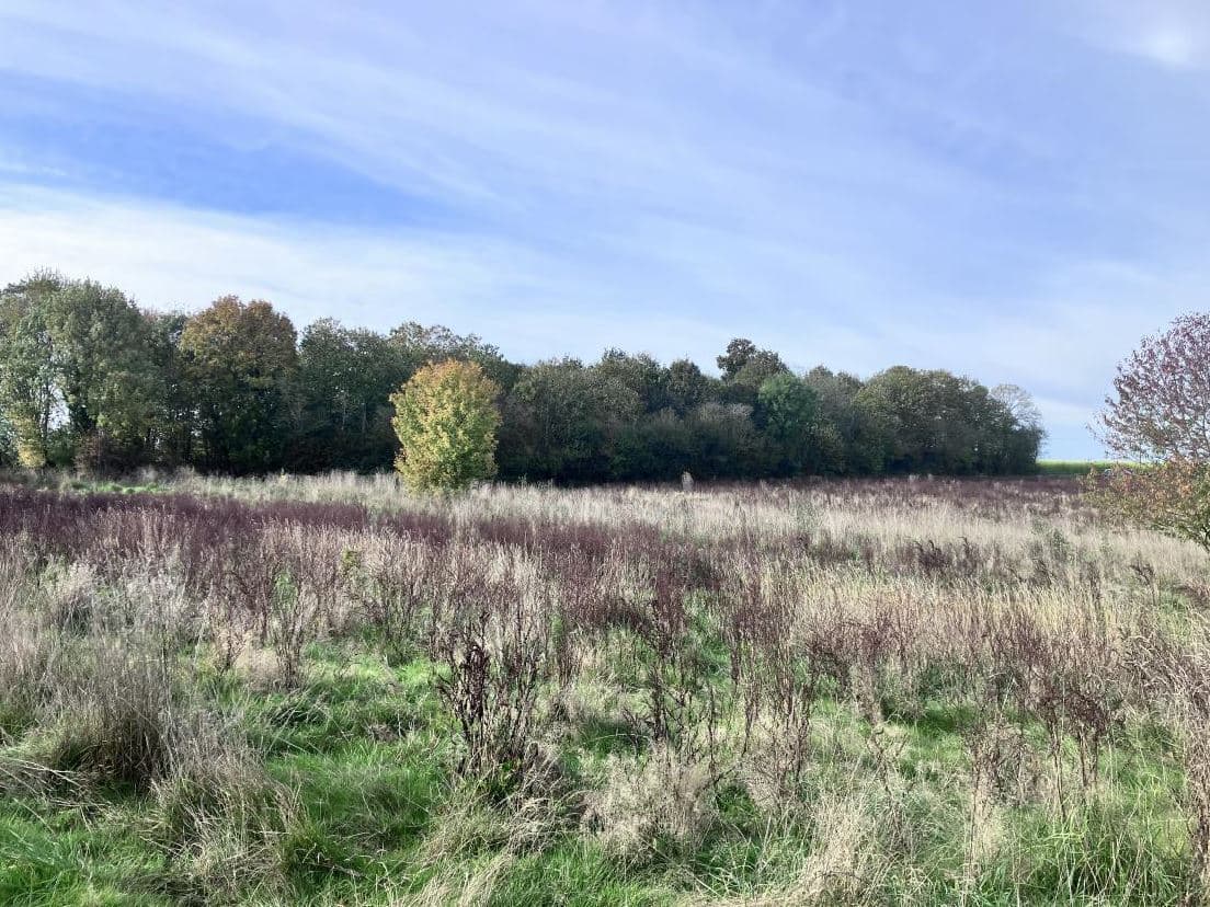 Boisement de 3,9 hectares dans la Sarthe