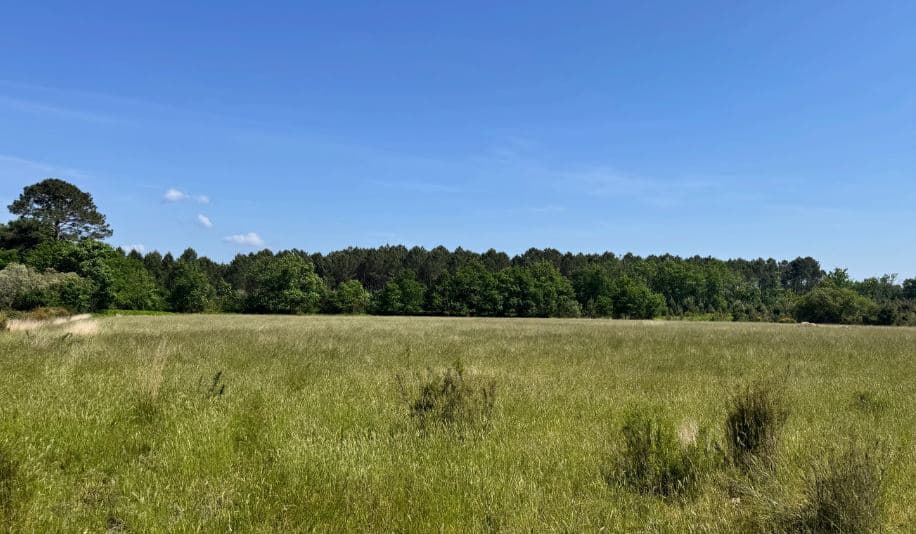 Boisement de 2,88 hectares à Naujac-sur-Mer