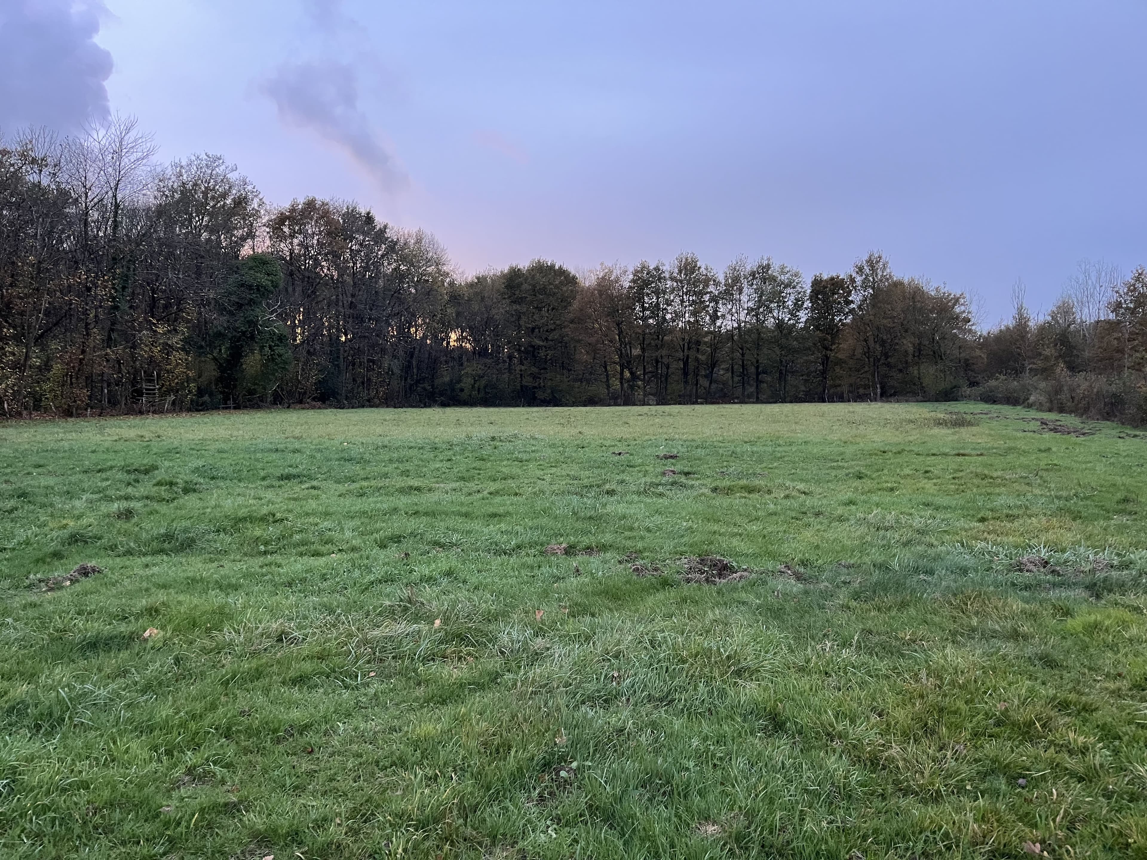 4.5 hectare wooded area in Maine-et-Loire