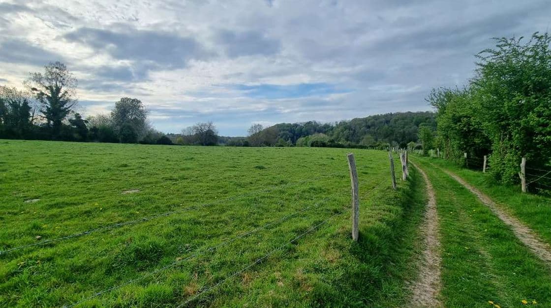 Nouveau boisement de 12,6 hectares à Saint-Pierre-du-Val