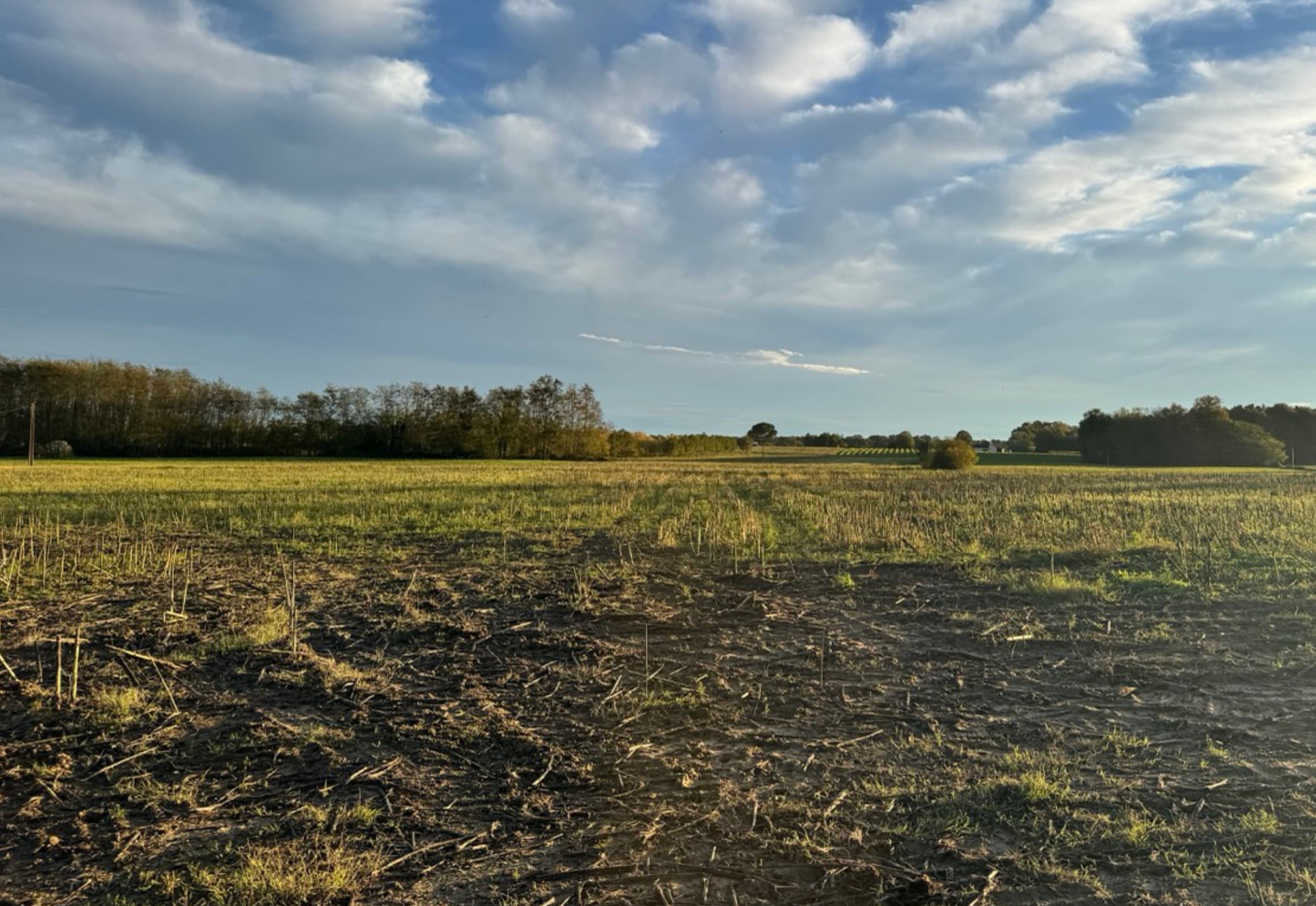 Creation of 8.2 hectares of woodland in the Gers