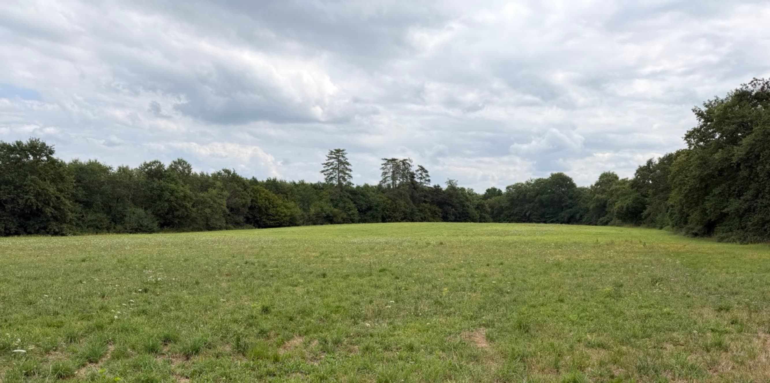 Nouveau boisement de 2,8 hectares à Parleboscq