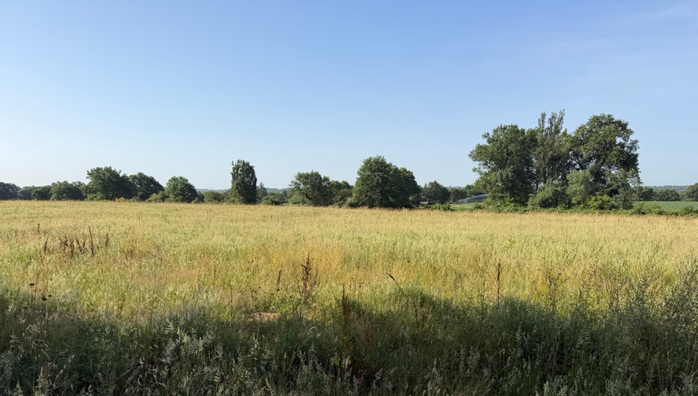Création de 3,17 hectares de forêts à Grenade-sur-l'Adour