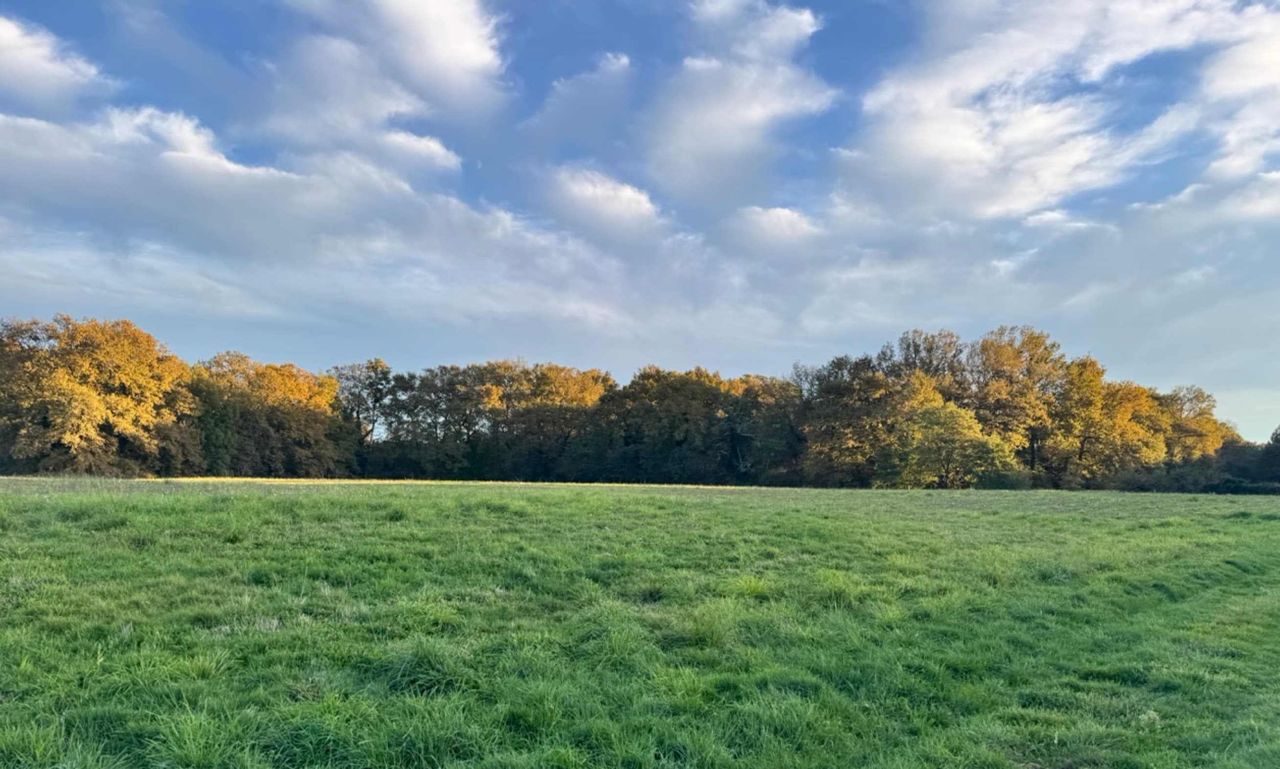 New afforestation covering 5.45 hectares in the Gers