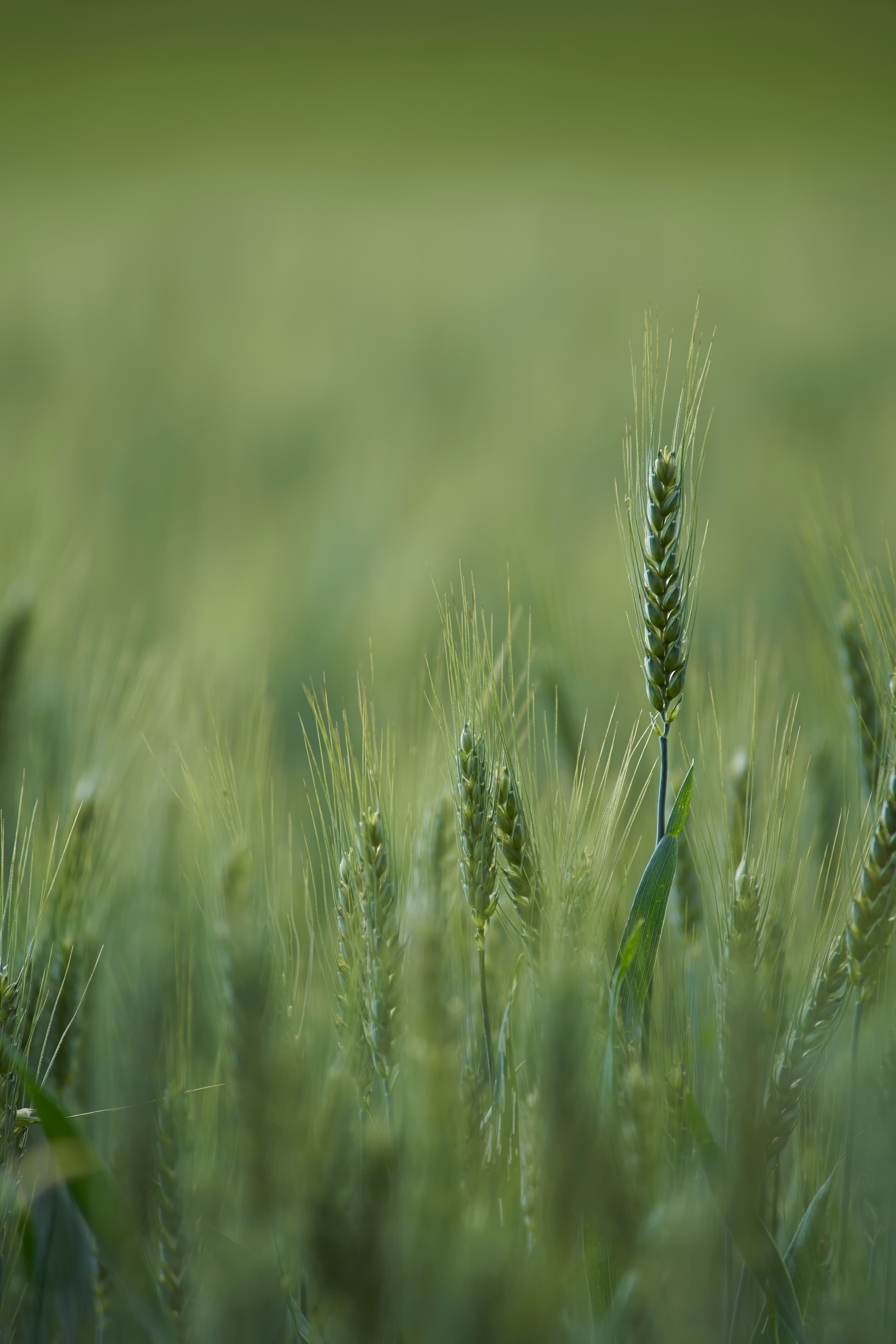 Changements de pratiques agricoles chez M. Gilbert Barnachon